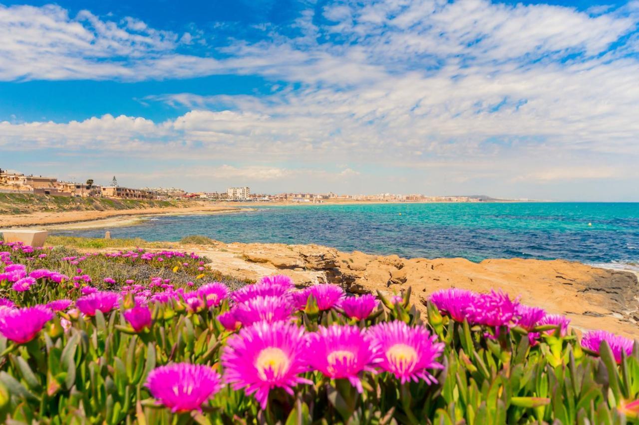 Apartamento Alegria Id36 La Mata  Esterno foto